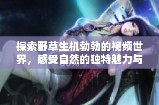 探索野草生机勃勃的视频世界，感受自然的独特魅力与美丽