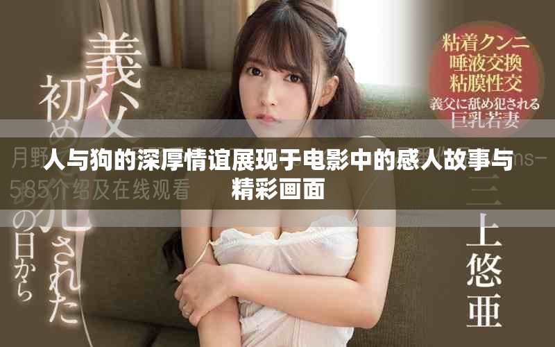 人与狗的深厚情谊展现于电影中的感人故事与精彩画面
