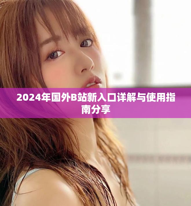 2024年国外B站新入口详解与使用指南分享