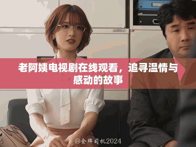 老阿姨电视剧在线观看，追寻温情与感动的故事