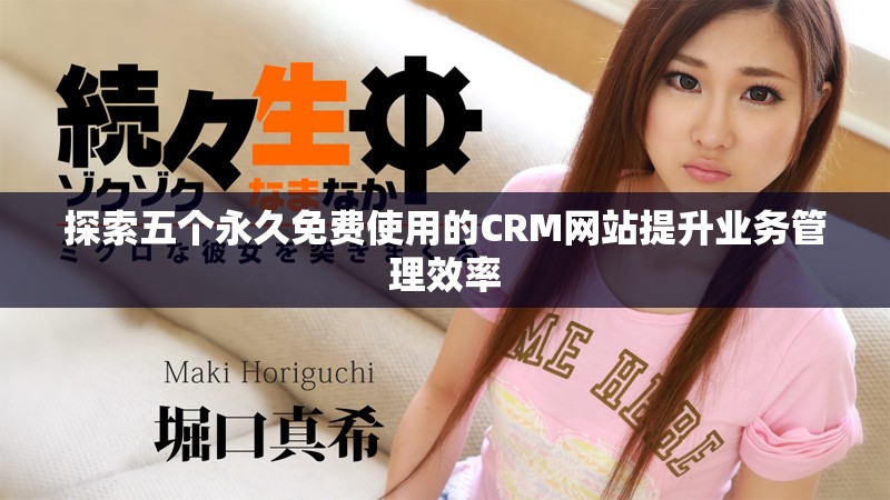 探索五个永久免费使用的CRM网站提升业务管理效率