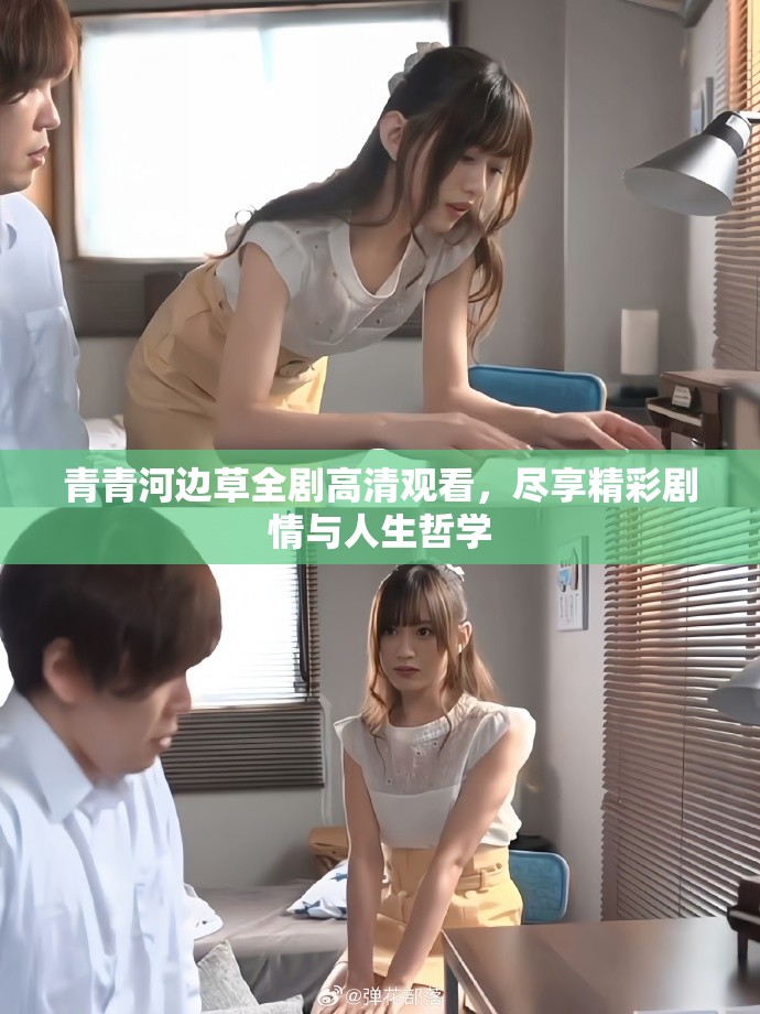 青青河边草全剧高清观看，尽享精彩剧情与人生哲学