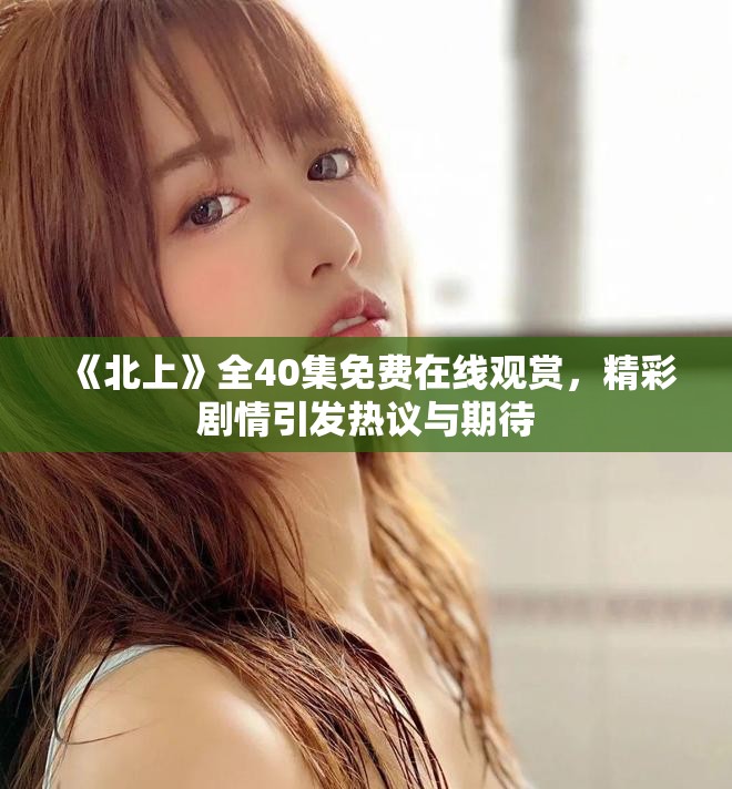 《北上》全40集免费在线观赏，精彩剧情引发热议与期待