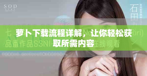 萝卜下载流程详解，让你轻松获取所需内容