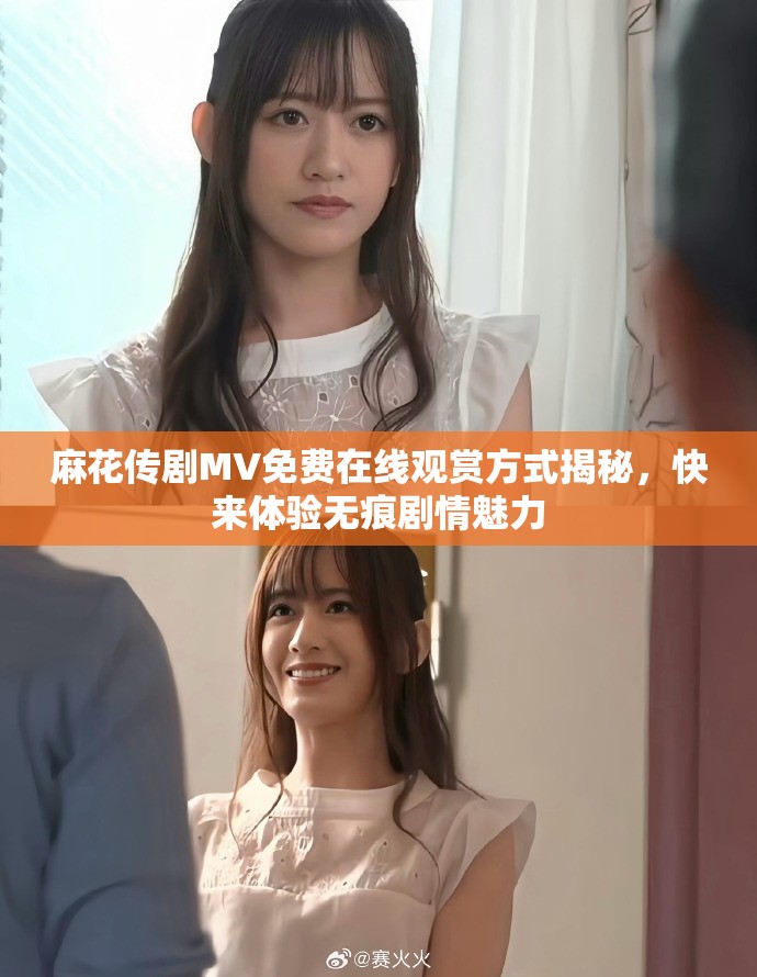 麻花传剧MV免费在线观赏方式揭秘，快来体验无痕剧情魅力