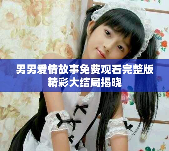 男男爱情故事免费观看完整版精彩大结局揭晓