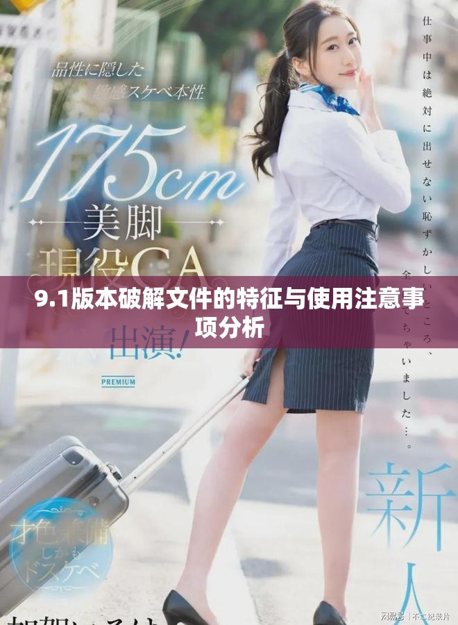 9.1版本破解文件的特征与使用注意事项分析