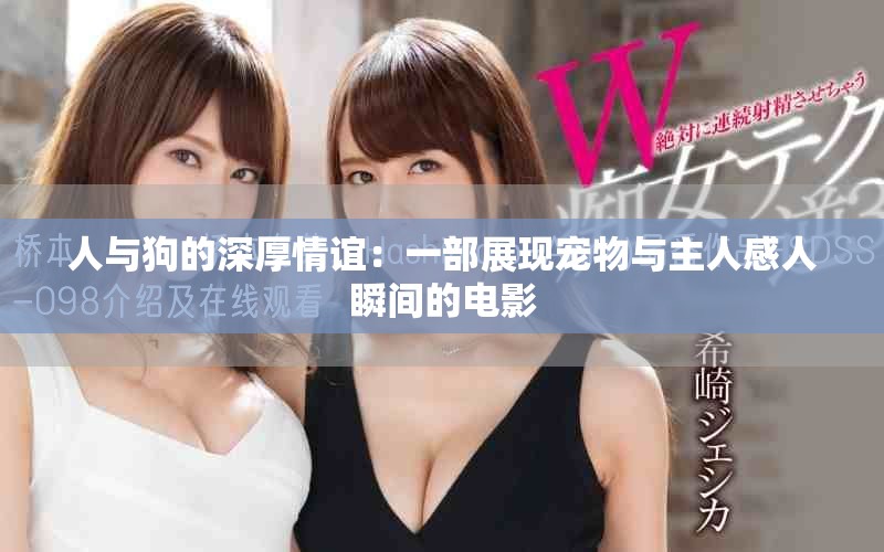 人与狗的深厚情谊：一部展现宠物与主人感人瞬间的电影