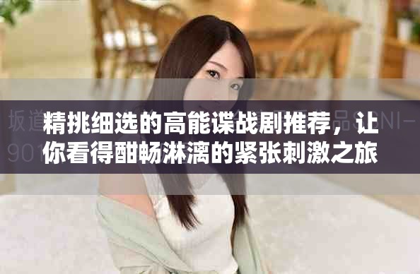 精挑细选的高能谍战剧推荐，让你看得酣畅淋漓的紧张刺激之旅