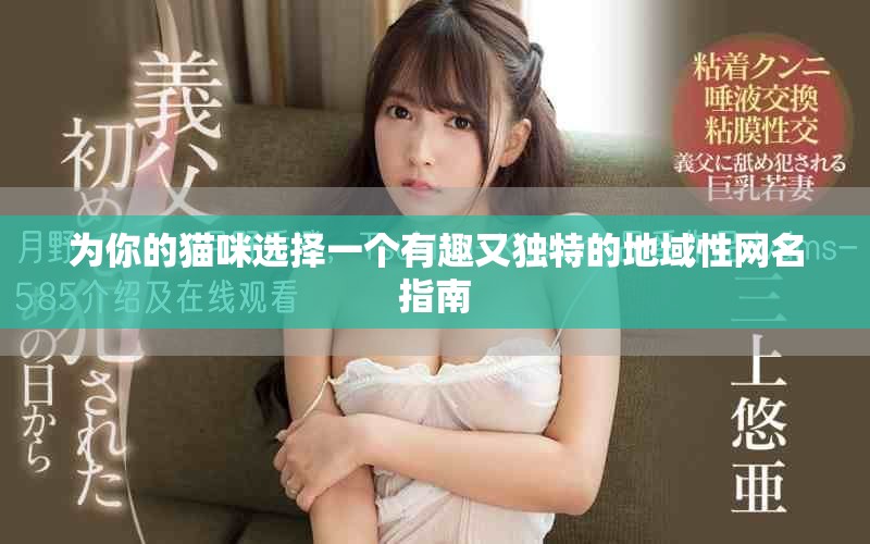 为你的猫咪选择一个有趣又独特的地域性网名指南