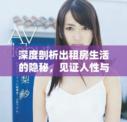 深度剖析出租房生活的隐秘，见证人性与社会的交织故事