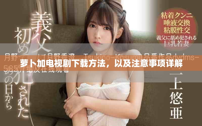 萝卜加电视剧下载方法，以及注意事项详解