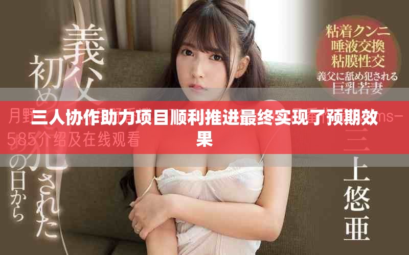 三人协作助力项目顺利推进最终实现了预期效果