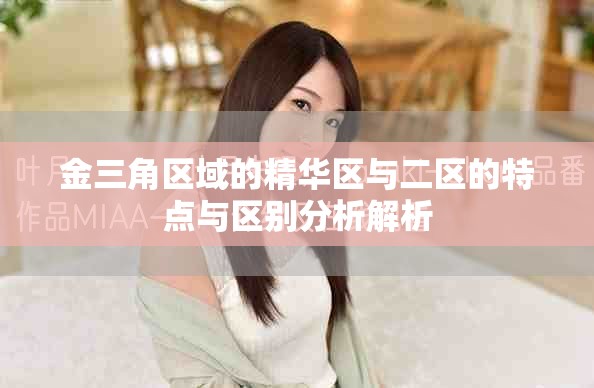 金三角区域的精华区与二区的特点与区别分析解析