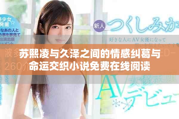 苏熙凌与久泽之间的情感纠葛与命运交织小说免费在线阅读