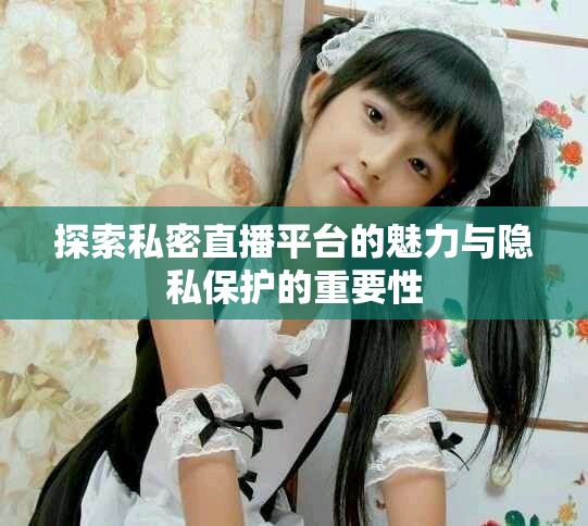 探索私密直播平台的魅力与隐私保护的重要性