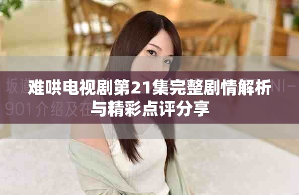 难哄电视剧第21集完整剧情解析与精彩点评分享