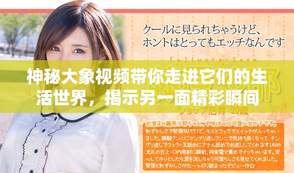 神秘大象视频带你走进它们的生活世界，揭示另一面精彩瞬间