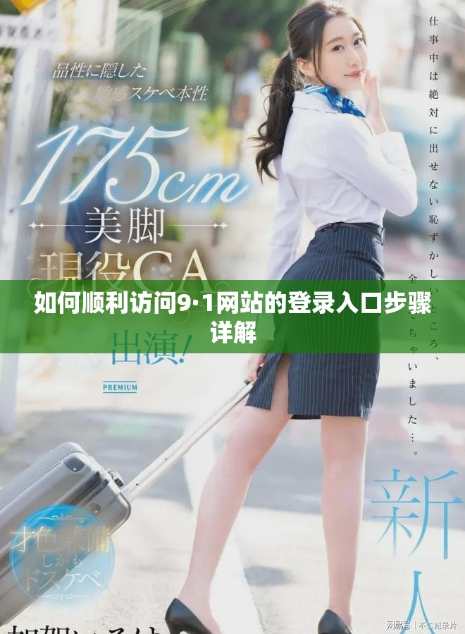 如何顺利访问9·1网站的登录入口步骤详解