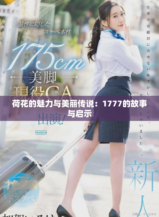 荷花的魅力与美丽传说：1777的故事与启示