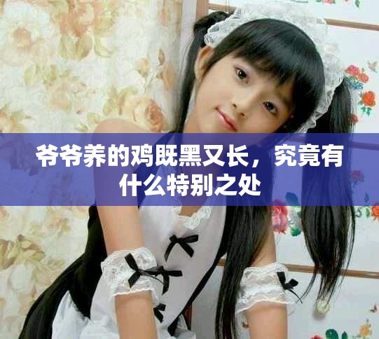 爷爷养的鸡既黑又长，究竟有什么特别之处