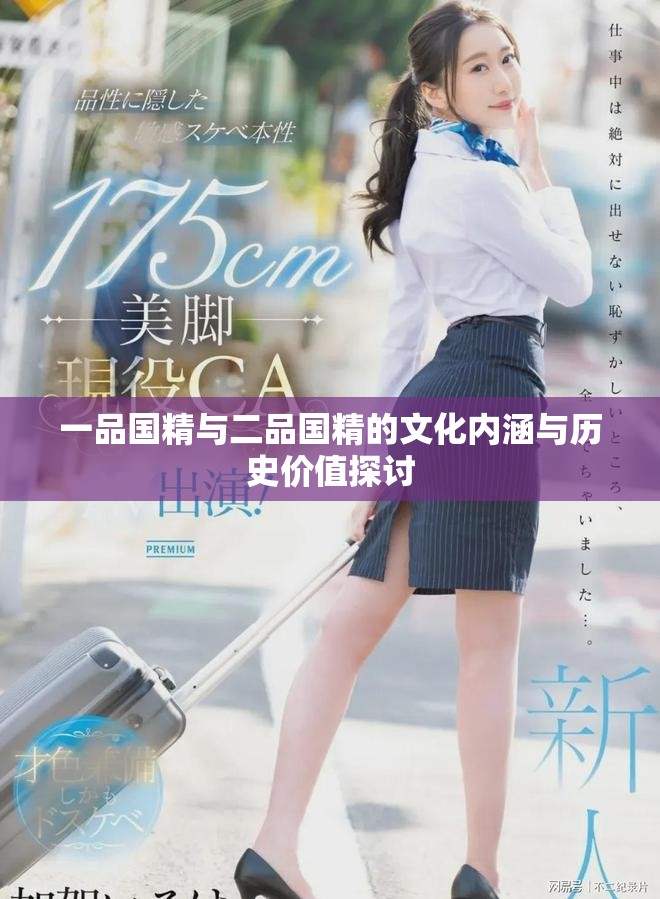 一品国精与二品国精的文化内涵与历史价值探讨