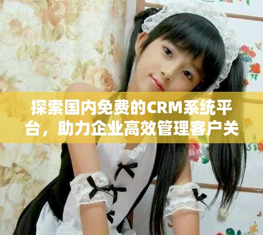探索国内免费的CRM系统平台，助力企业高效管理客户关系