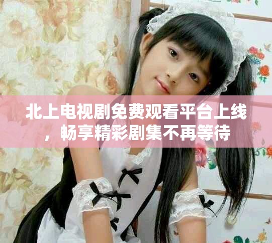 北上电视剧免费观看平台上线，畅享精彩剧集不再等待
