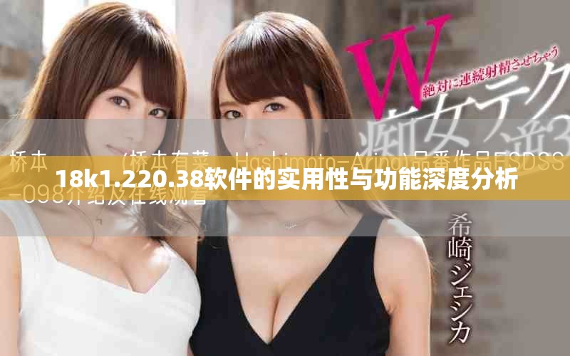 18k1.220.38软件的实用性与功能深度分析