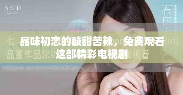 品味初恋的酸甜苦辣，免费观看这部精彩电视剧