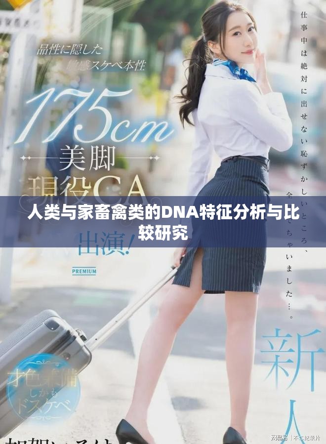 人类与家畜禽类的DNA特征分析与比较研究