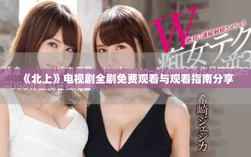 《北上》电视剧全剧免费观看与观看指南分享