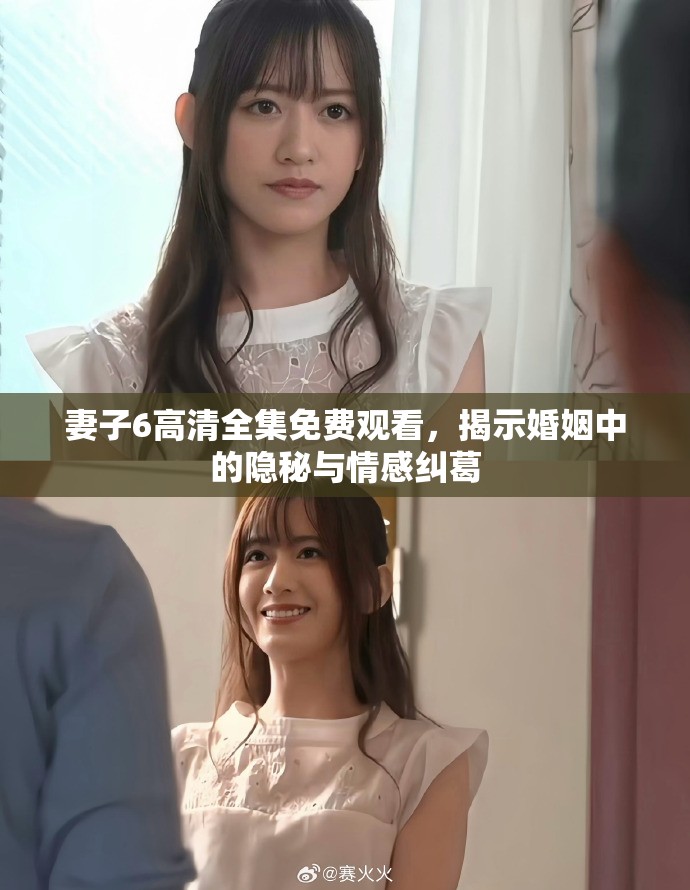 妻子6高清全集免费观看，揭示婚姻中的隐秘与情感纠葛
