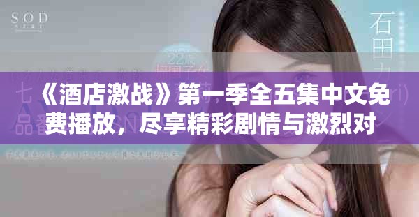 《酒店激战》第一季全五集中文免费播放，尽享精彩剧情与激烈对抗