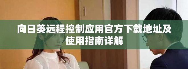 向日葵远程控制应用官方下载地址及使用指南详解