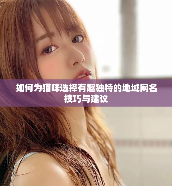 如何为猫咪选择有趣独特的地域网名技巧与建议