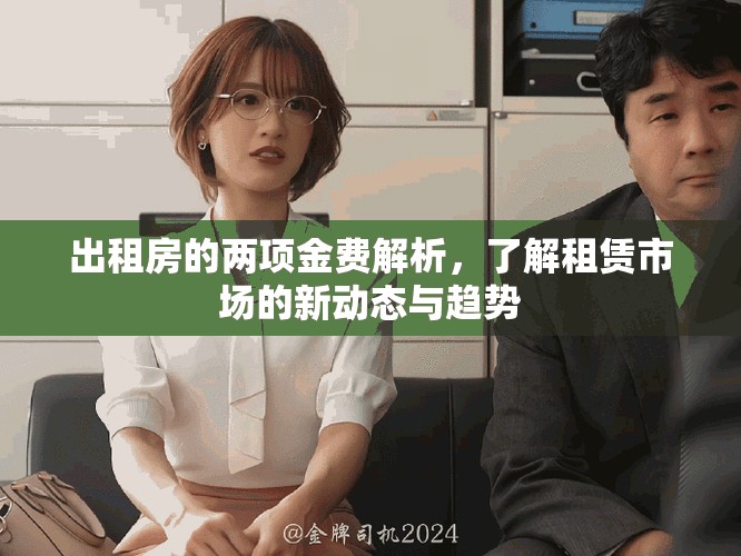 出租房的两项金费解析，了解租赁市场的新动态与趋势