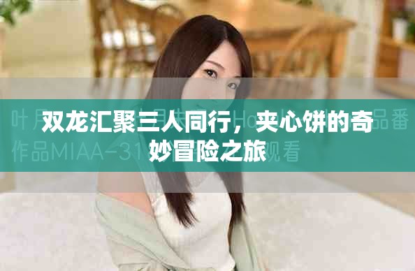 双龙汇聚三人同行，夹心饼的奇妙冒险之旅