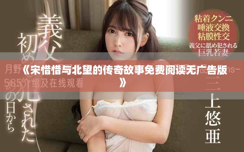 《宋惜惜与北望的传奇故事免费阅读无广告版》