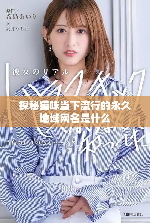 探秘猫咪当下流行的永久地域网名是什么