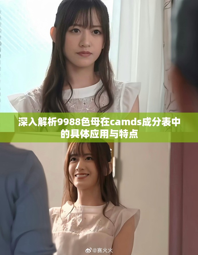 深入解析9988色母在camds成分表中的具体应用与特点