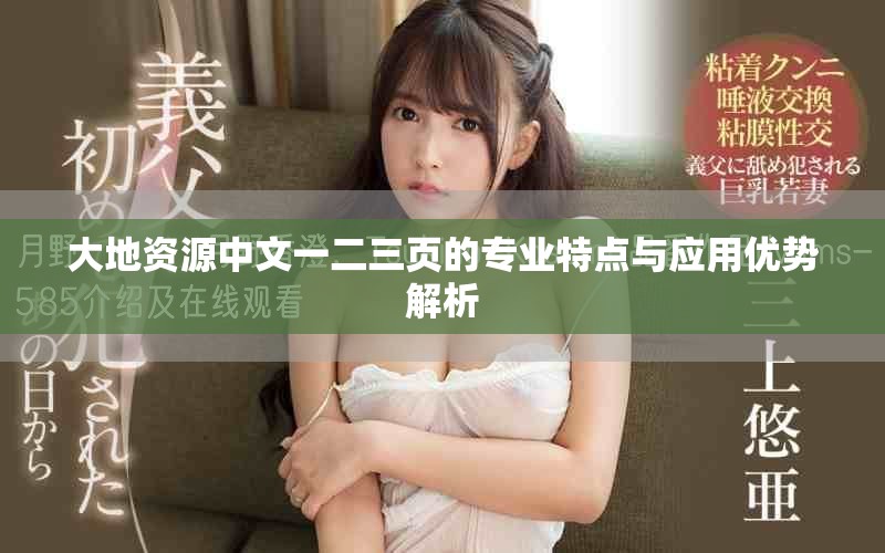 大地资源中文一二三页的专业特点与应用优势解析