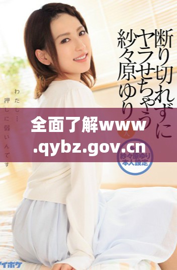 全面了解www.qybz.gov.cn网站提供的服务与信息内容