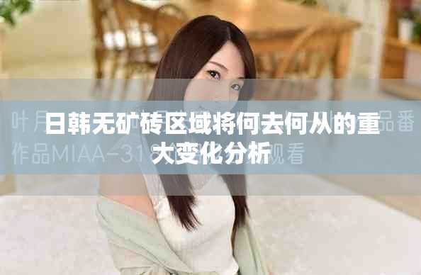 日韩无矿砖区域将何去何从的重大变化分析