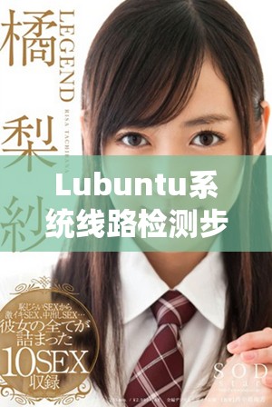 Lubuntu系统线路检测步骤详解与技术支持指南