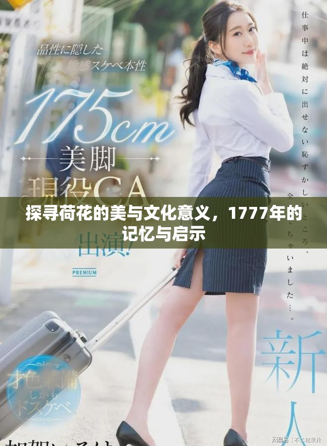 探寻荷花的美与文化意义，1777年的记忆与启示