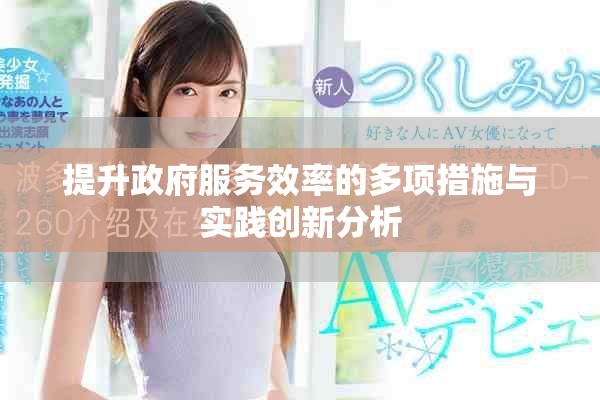 提升政府服务效率的多项措施与实践创新分析