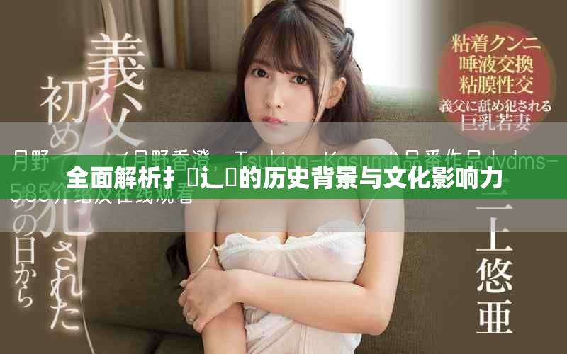 全面解析扌喿辶畐的历史背景与文化影响力
