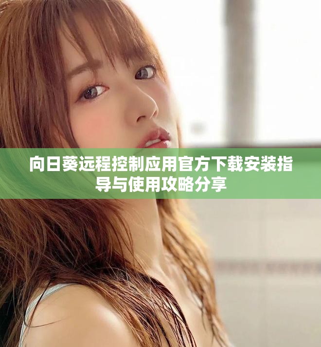 向日葵远程控制应用官方下载安装指导与使用攻略分享