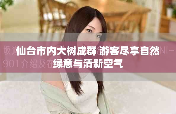 仙台市内大树成群 游客尽享自然绿意与清新空气